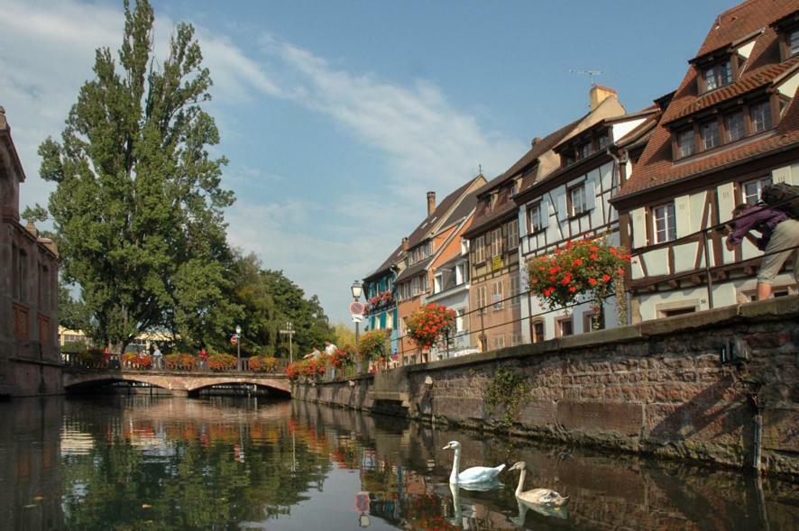 Apartmán Au Buisson De Roses Colmar Exteriér fotografie